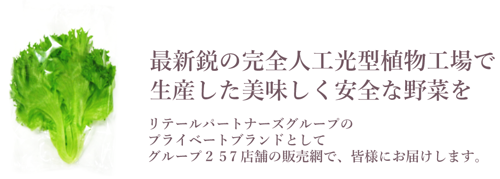 エレクトロニクスと工場生産で培った先端技術で野菜づくりの新しい可能性を。新しい食文化の創造へ