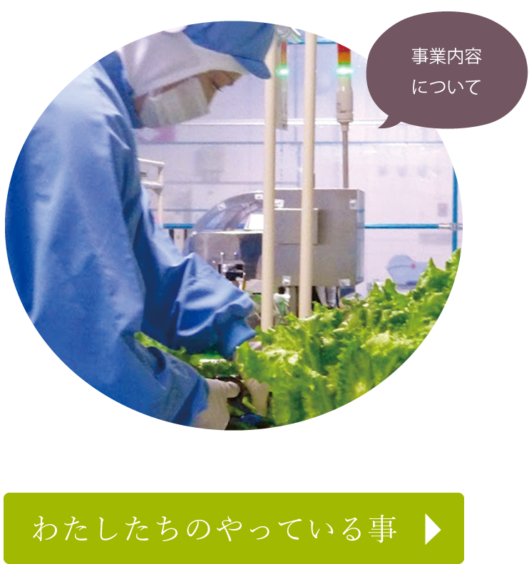 事業内容について
